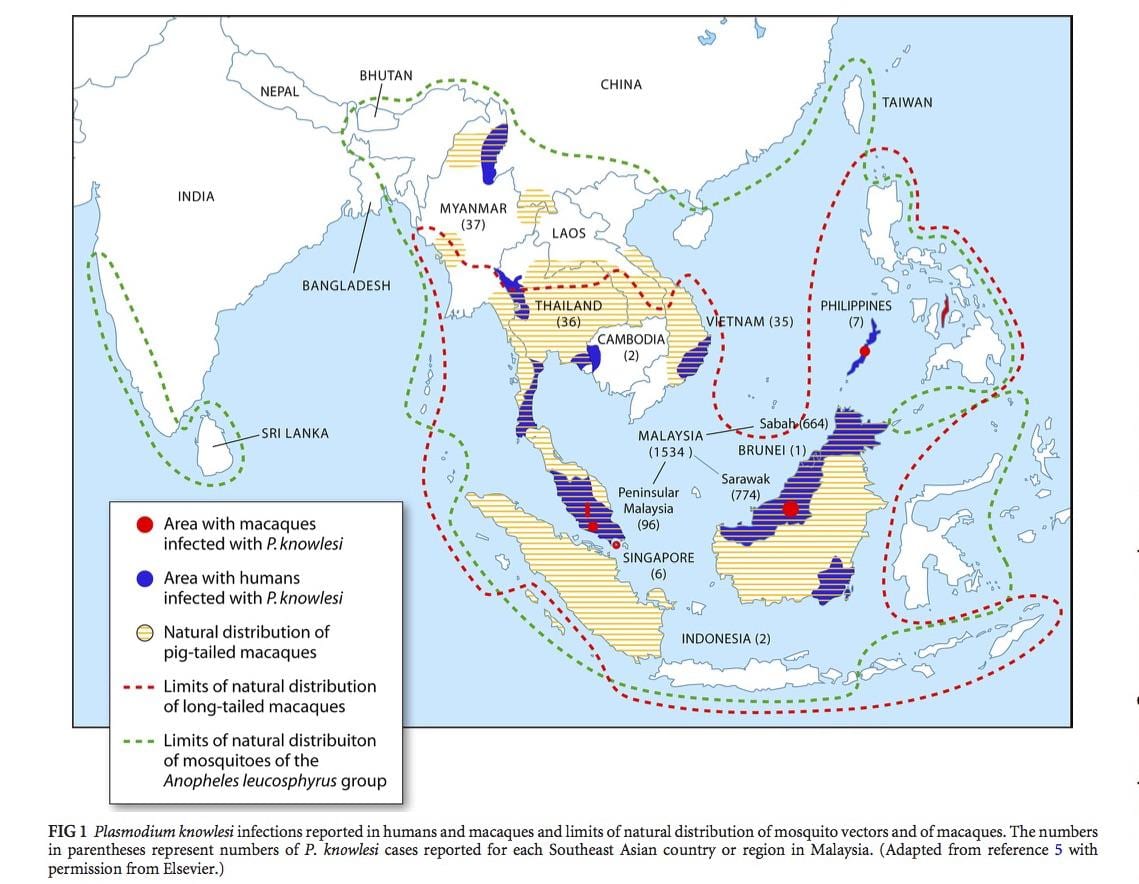 carte de la malaisie paludisme