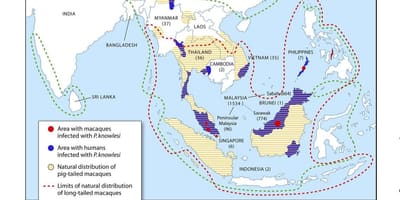 Carte de la malaisie paludisme